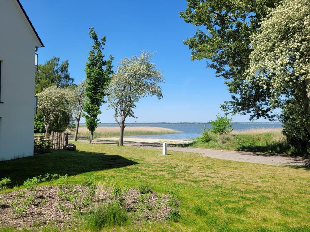 Baltic Lagoon Resort Direkt Am Meer Fuhlendorf  Kültér fotó