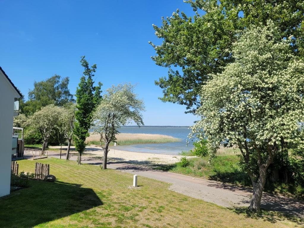 Baltic Lagoon Resort Direkt Am Meer Fuhlendorf  Kültér fotó