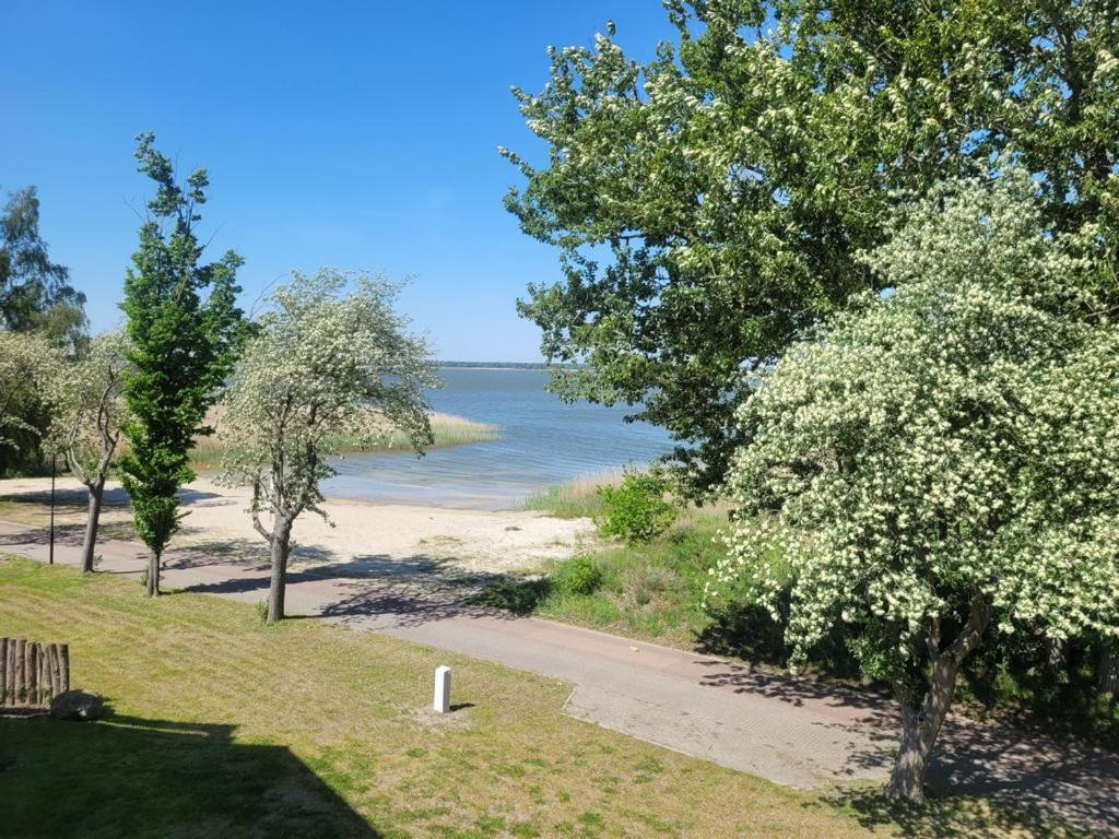 Baltic Lagoon Resort Direkt Am Meer Fuhlendorf  Kültér fotó